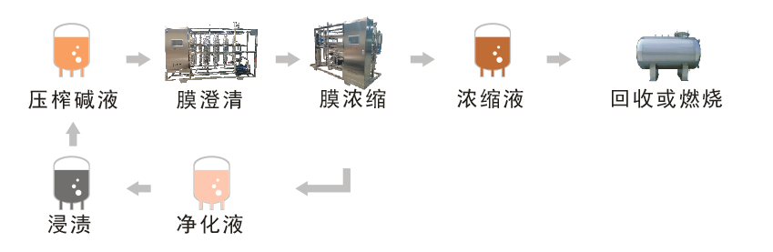 廢堿液膜分離回收技術(shù)